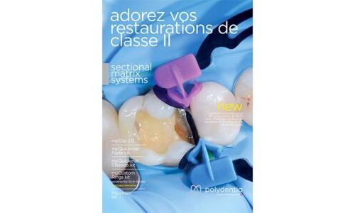Flyer systèmes de matrices sectionelles de Polydentia