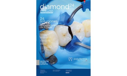 Flyer Diamond24