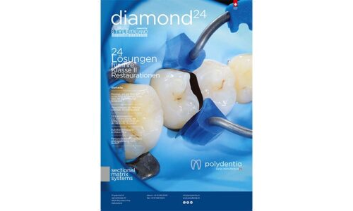 Flyer Diamond24