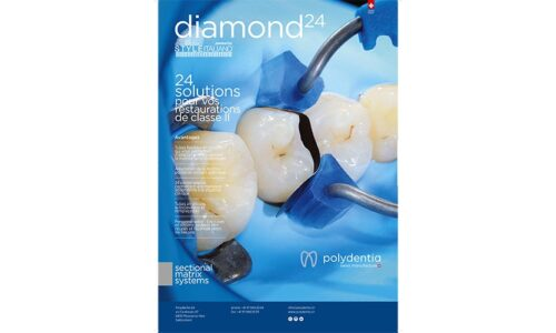 Flyer Diamond24