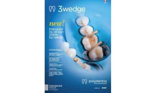3wedges flyer